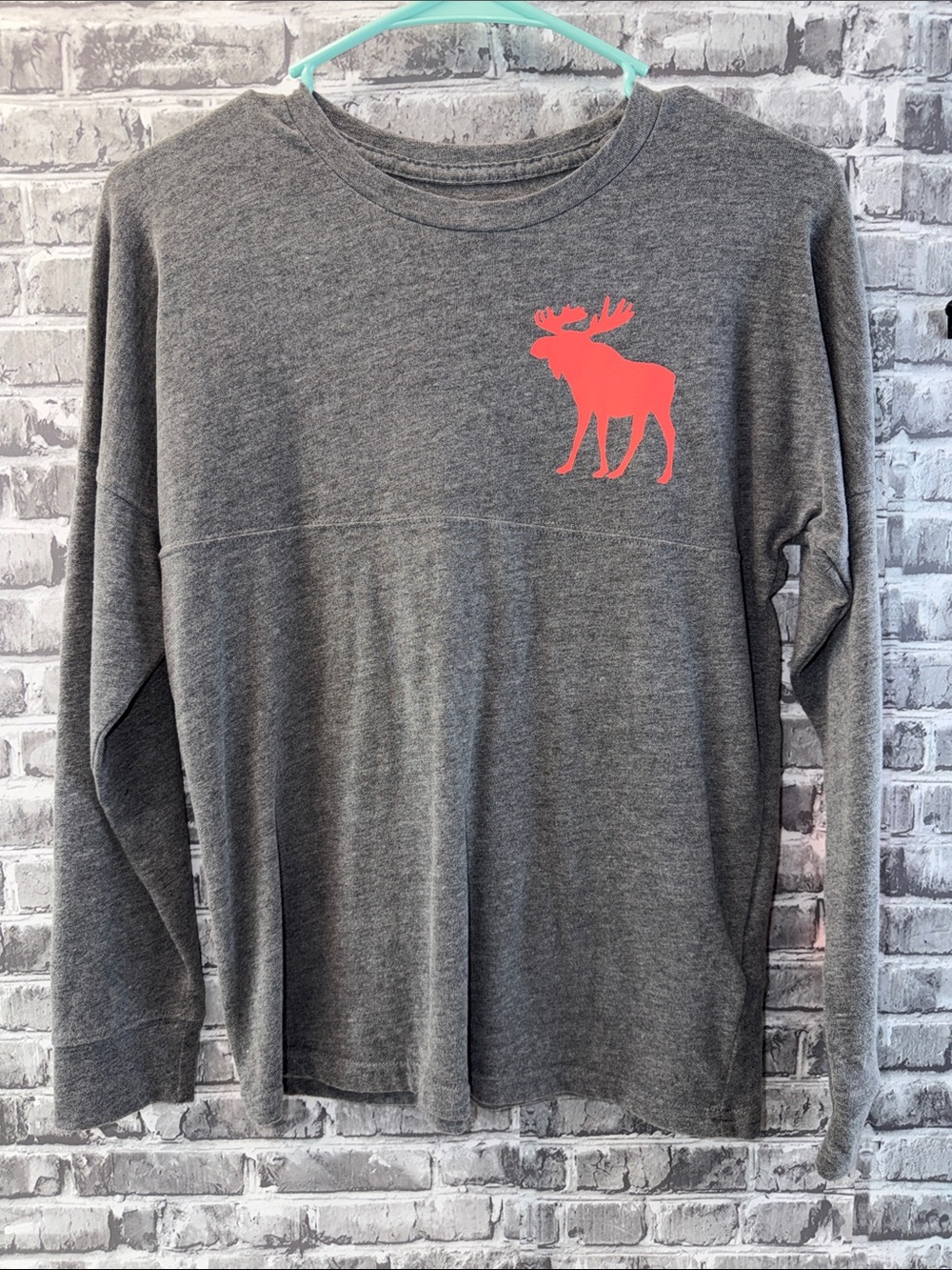 Abercrombie‎ Kids Gray Long Sleeve Top with Coral Moose Graphic